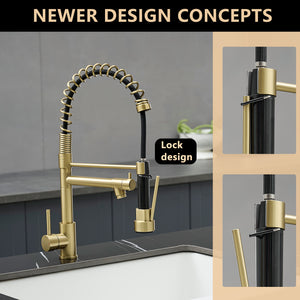 Stainless Steel Kitchen Faucet with Pull Down Sprayer