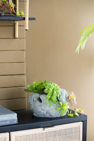 5 Bunny Cement Planter with Playful Bunny Design - Cement