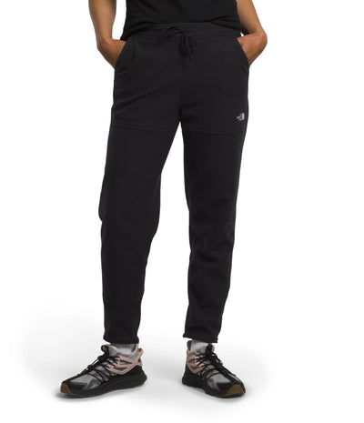 Women's Alpine Polartec 100 Pants - Large