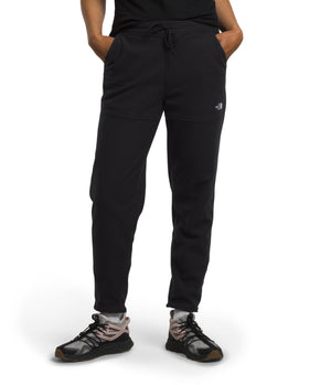 Women's Alpine Polartec 100 Pants - Large