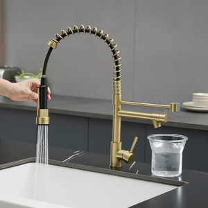 Stainless Steel Kitchen Faucet with Pull Down Sprayer