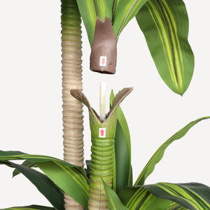 6' Artificial Dracaena Tree