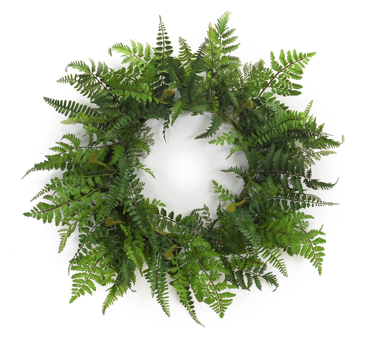 Mixed Fern Grapevine Wreath 24" Diameter