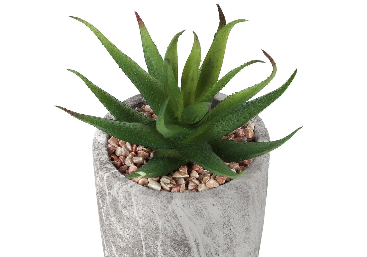 6" Tall, Artificial Plant, Succulent, Indoor, Faux, Fake, Table, Greenery, Potted, Decorative (Set of 2) - Green / Gray - Best Buy Furniture