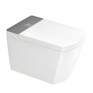 Modern Integrated Smart Toilet