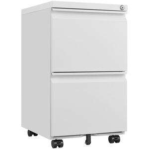 Office Storage Cabinet With 2 Drawers And Lock