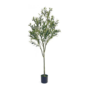 Artificial Olive Tree - Best Buy Furniture