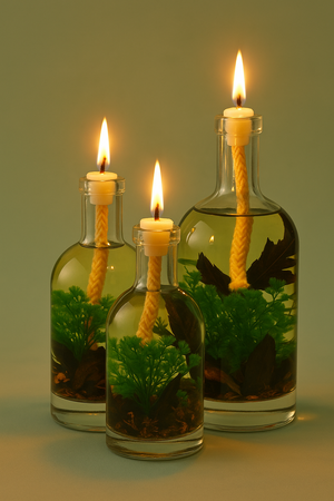 Medusa Oil Candle