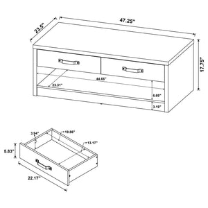 Nuberg - 2 Drawer Coffee Table Rectangular Design - Gray