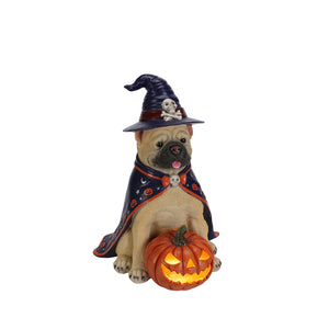 Halloween Bulldog Witch Statue, LED Light Up Jack-O-Lantern Pumpkin