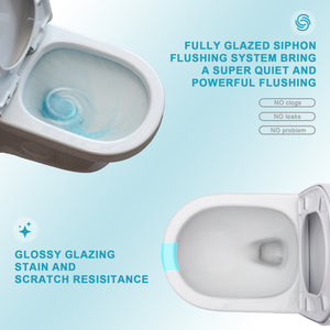Ceramic One Piece Toilet for Bathroom, 12-inch Rough-In, Dual Flush