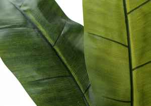 55" Tall, Artificial Plant, Banana Tree, Indoor, Faux, Fake, Floor, Greenery, Potted, Real Touch, Decorative - Green / Black - Best Buy Furniture