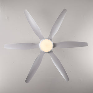 6 PCS ABS Blades 56" Ceiling Fan With Light Kit