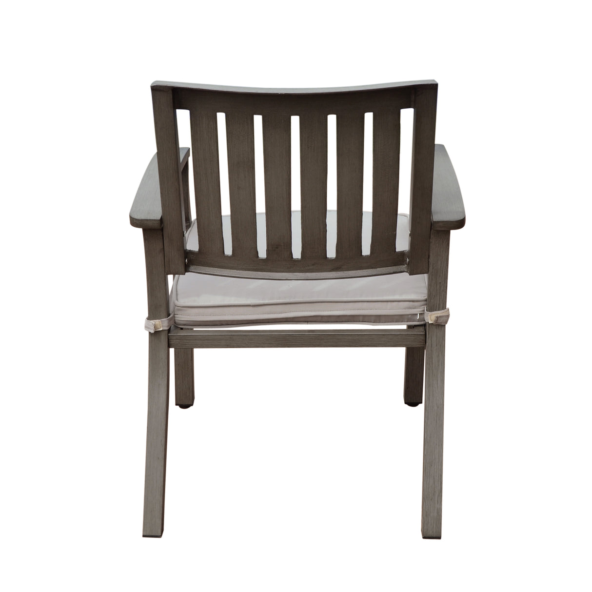 Outdoor Modern Aluminum Dining Chair with Cushion (Set of 2)