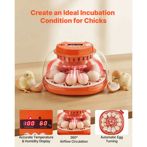 12 Egg Incubator with Automatic Egg Turner and LED Candler