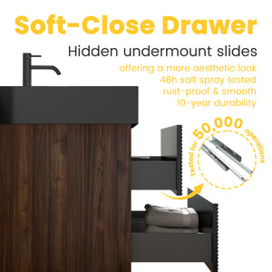 Grace 24-Inch Wall-Mounted Bathroom Vanity, Black with Walnut, Double Drawer