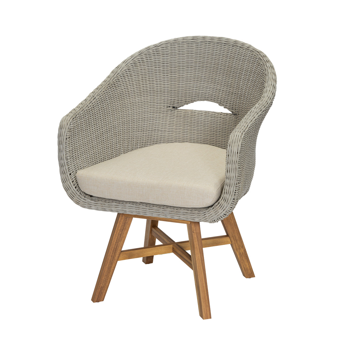 Outdoor Dining Arm Chair with Cushion, Set of 2