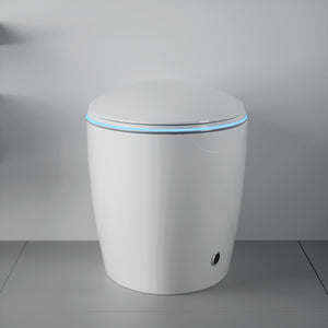 Unique Smart Toilet with Built-in Bidet