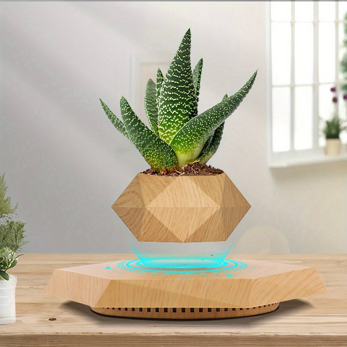 Magnetic Levitating Plant Pot – Rotating Floating Geometric Bonsai Planter Indoor