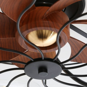 Industrial Style 20 Inch Matte Ceiling Fan with Light