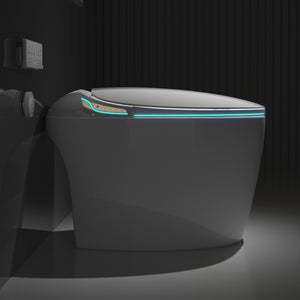 Unique Smart Toilet with Built-in Bidet