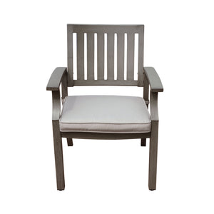 Outdoor Modern Aluminum Dining Chair with Cushion (Set of 2)