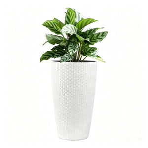 Tall Planters Set With Water Level Monitor And Auto Watering