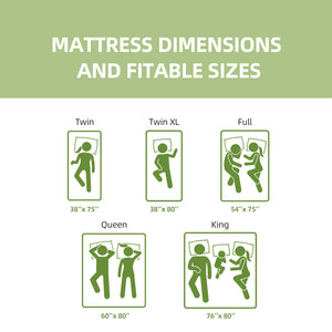 12-Inch Queen Mattress