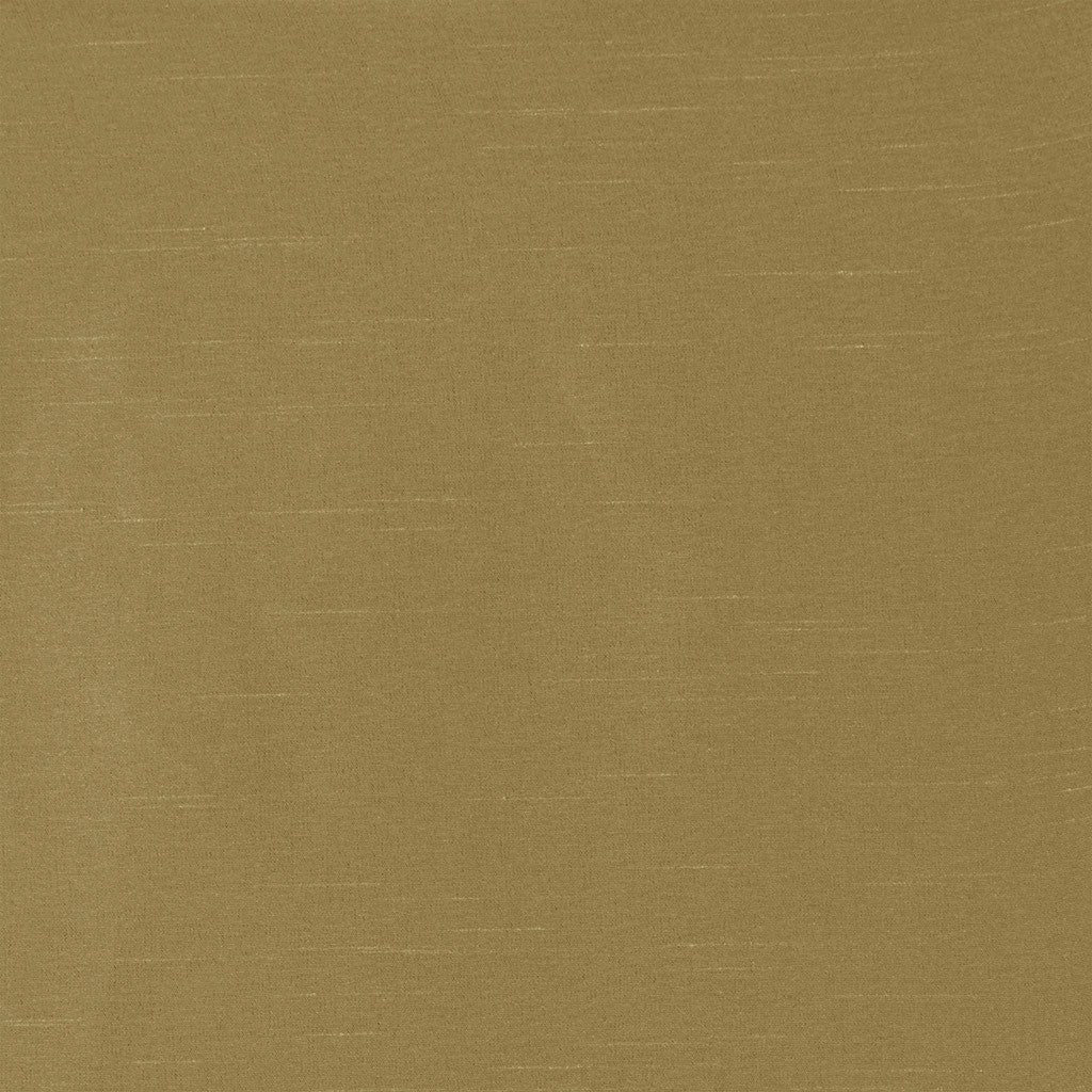 23963172