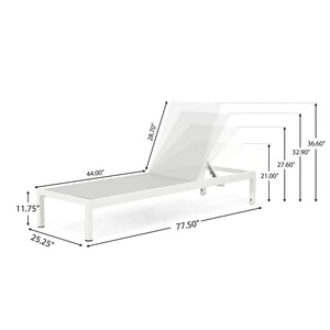 Outdoor Patio Chaise Lounge with 5 Reclining Positions