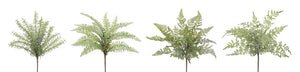 Assorted Fern Foliage Bush (Set of 12)