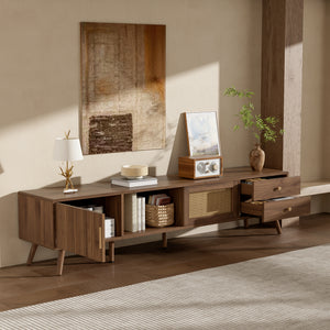 76" Modern Rattan Doors TV Stand