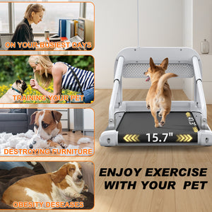 2025 New Quiet Smart Pet Treadmill