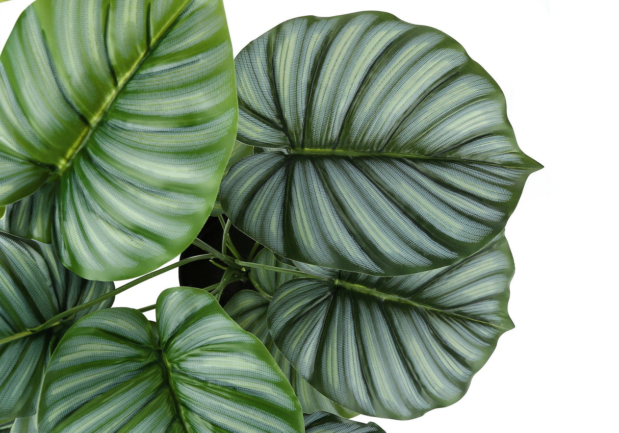 24" Tall, Artificial Plant, Calathea, Indoor, Faux, Fake, Table, Greenery, Potted, Real Touch, Decorative - Green / Black - Best Buy Furniture