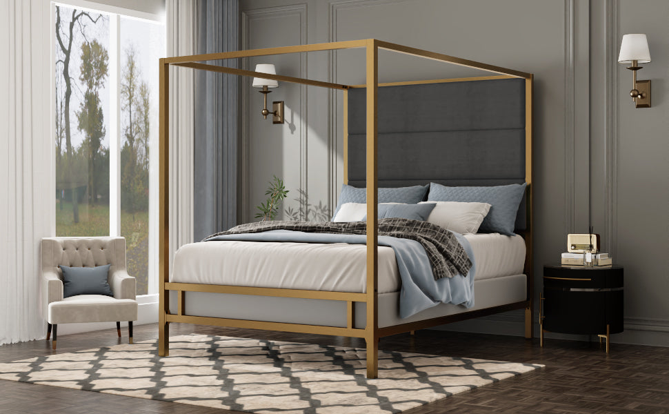 Modern Gold Metal Canopy Bed