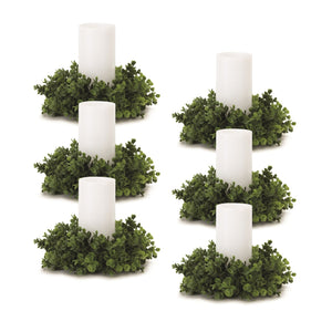 Eucalyptus-foliage-candle-ring-(set-of-6)-Candles