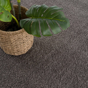 Judy Solid Dark Gray Washable Shag Rug - Promo