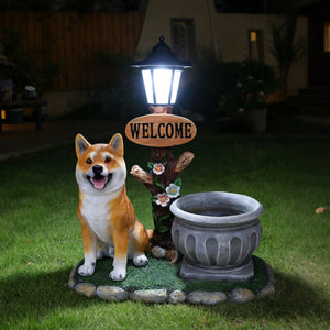 24938046