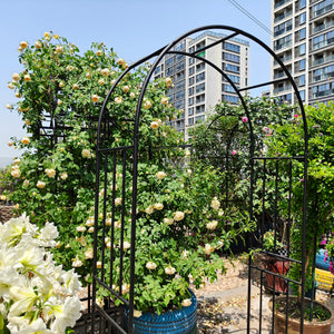 Metal Garden Arch for Climbing Plants