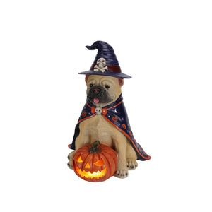 Halloween Bulldog Witch Statue, LED Light Up Jack-O-Lantern Pumpkin