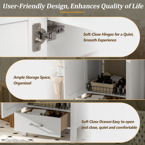 Bathroom Vanity With Sink, Frame And Drawer