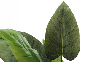 37" Tall, Artificial Plant, Aureum Tree, Indoor, Faux, Fake, Floor, Greenery, Potted, Real Touch, Decorative - Green / Black - Best Buy Furniture