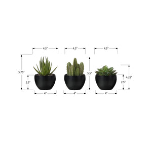 Artificial Succulent Plants (Set of 3)