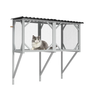 Cat Window Box