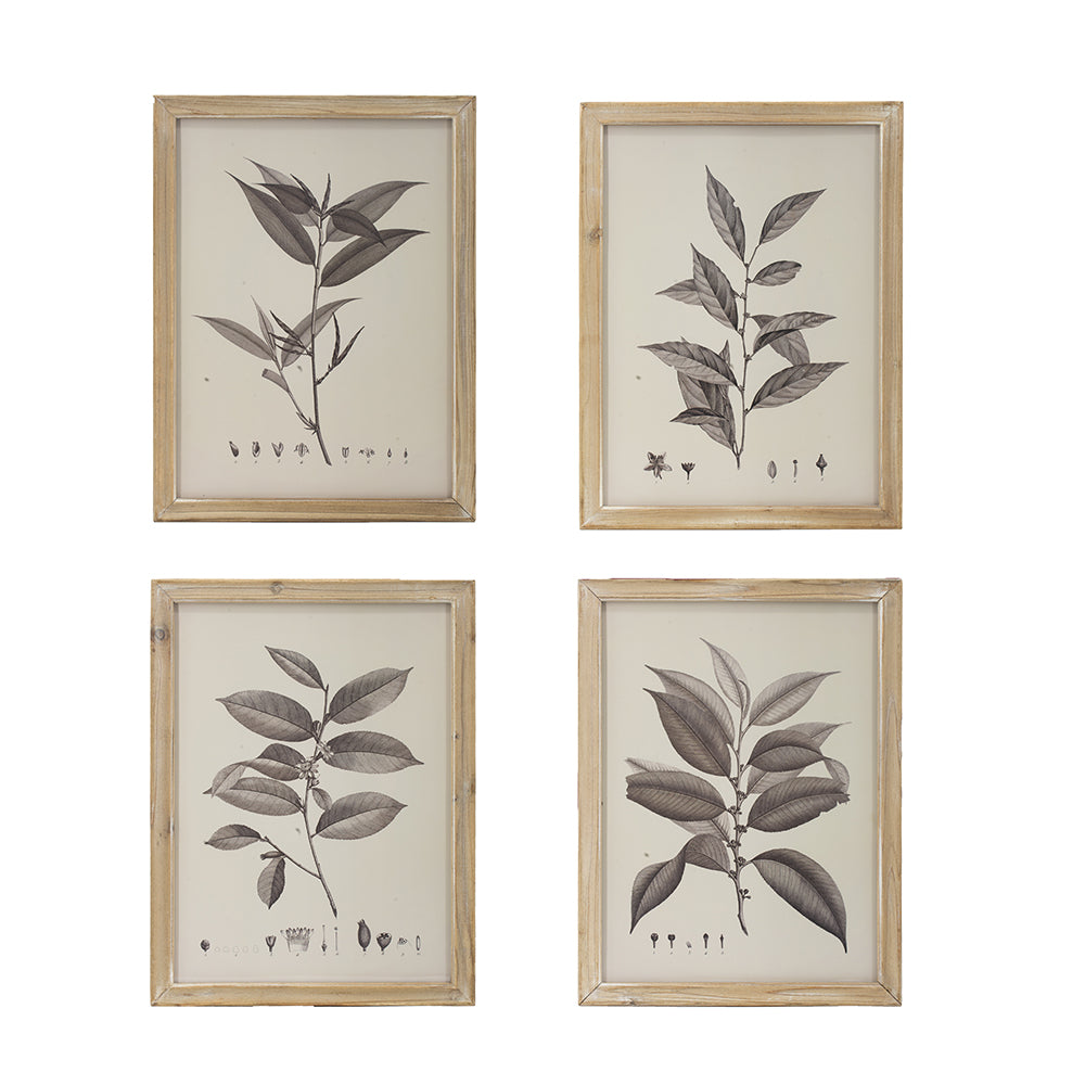 Botanical Wall Décor Set of 4