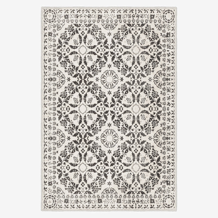Paricutín Area Rug
