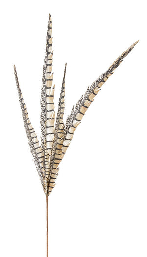 Faux-Pheasant-Feather-Pick-(Set-of-12)-Floral-&-Greenery