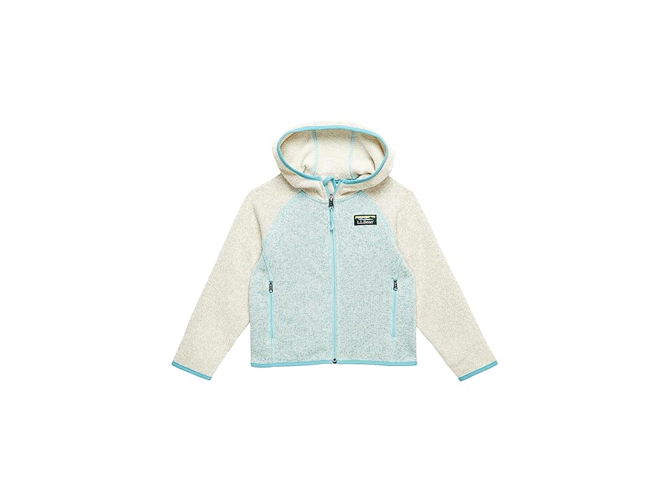 LLBean Kids Color Block Fleece Hoodie