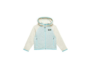 LLBean Kids Color Block Fleece Hoodie