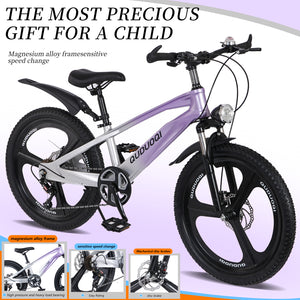 FKZNPJ 20 Inch Kids Mountain Bike